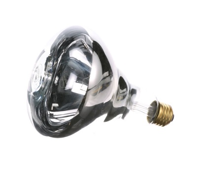 HEATLAMP BULB, CLEAR - 120V - 250W 
