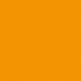 DINNER NAPKIN 2 PLY ORANGE 39X39CM - CASE OF 24 PACK