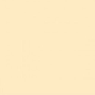 DINNER NAPKIN 2 PLY IVORY 39X39CM - CASE OF 24 PACK