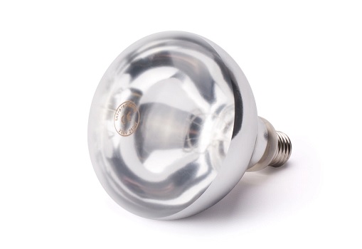 HEATLAMP BULB, CLEAR - 220V - 250W 