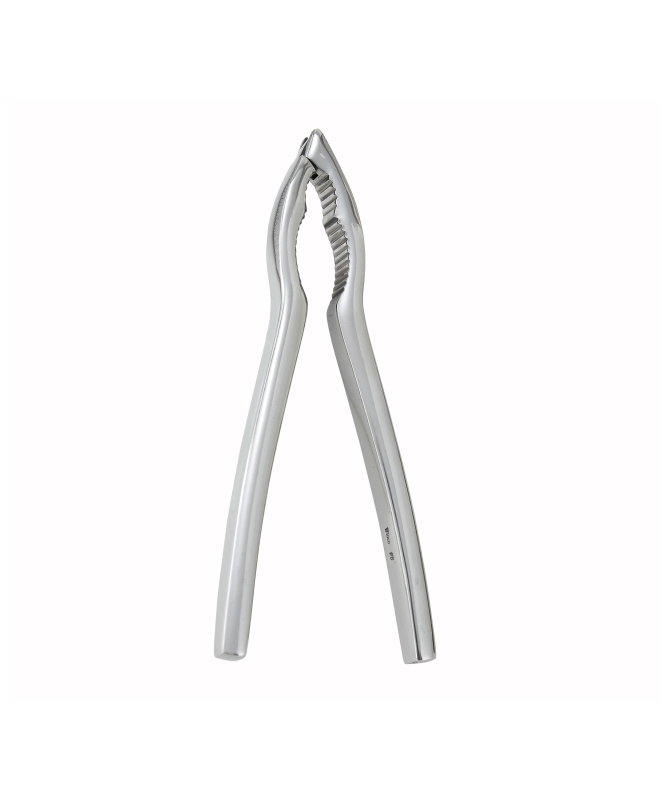 LOBSTER/NUT CRACKER S/S