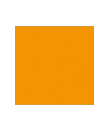 DINNER NAPKIN 2 PLY ORANGE 40X40CM - PACK OF 50 EACH