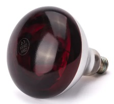 HEATLAMP BULB, RED - 220V - 250W 