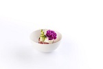 [BIO 57036] BAGASTRO BOWL ROUND Ø9CM - PACK OF 40 EACH