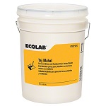 [ECOL 6102145] TAJ MAHAL FLOOR SEALER FINISH 5 GALLON