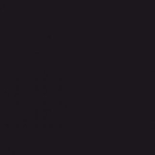 [GDP 101.86] DINNER NAPKIN 2 PLY BLACK 39X39CM - CASE OF 24 PACK