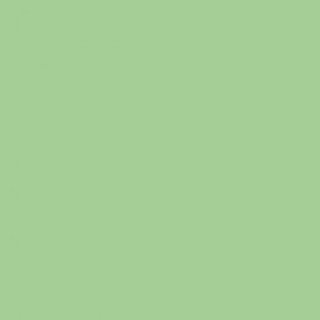 [GDP 131.97] DINNER NAPKIN 2 PLY GREEN 40X40CM - CASE OF 24 PACK