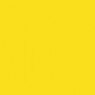 [GDP 143.60] DINNER NAPKIN 2 PLY YELLOW 40X40CM - CASE OF 24 PACK