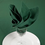 [MON NAPKIN GREEN] NAPKIN 20X20" GREEN - PACK OF 25 EACH