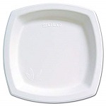 [PLATE 10PSC-250 WHT] SQUARE SUGAR CANE PLATE TBD - PACK OF 125 EACH
