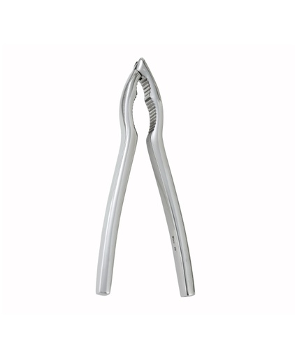 [WIN LC-85] LOBSTER/NUT CRACKER S/S