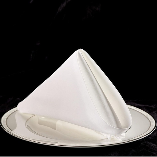 [FLOR 22X22 PLATINUM] NAPKIN 22X22" PLATINUM TBD - DOZEN