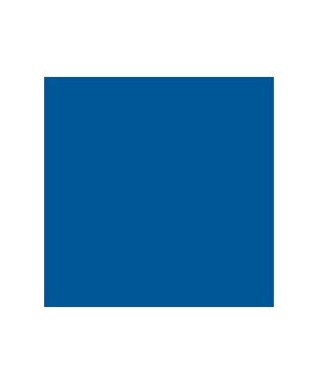 [GDP 101.20-Pack] DINNER NAPKIN 2 PLY NAVY BLUE 40X40CM - PACK OF 50 EACH