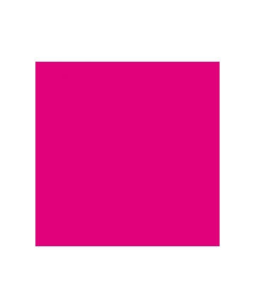 [GDP 132.19-Pack] DINNER NAPKIN 2 PLY FUCHIA 39X39CM- PACK OF 50 EACH