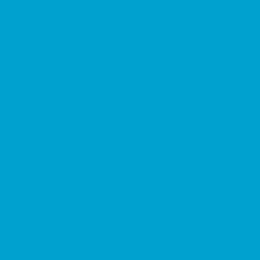 [GDP 132.21-Pack] DINNER NAPKIN 2 PLY TURQUOISE 40X40CM - PACK OF 50 EACH