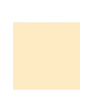 [GDP 166.65-Pack] DINNER NAPKIN 2 PLY IVORY 39X39CM - PACK OF 50 EACH