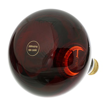 HEATLAMP BULB, RED - 120V - 250W 